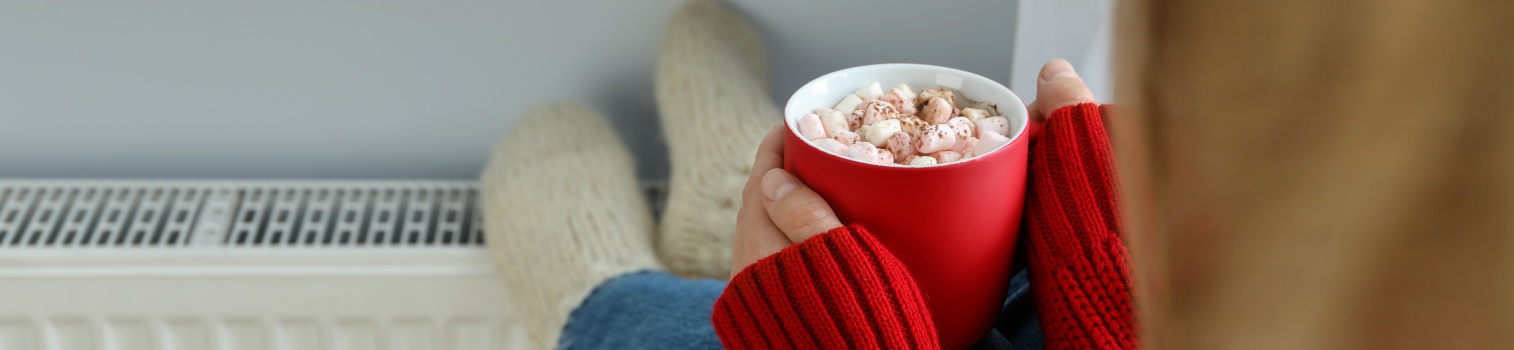 Společnost / VÝHRADNÍ ZASTOUPENÍ